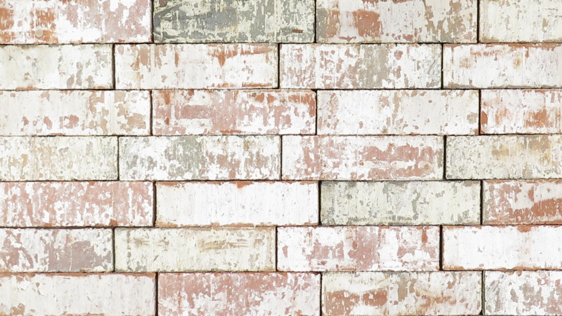 Special Blend - King - Heritage - lot T923A