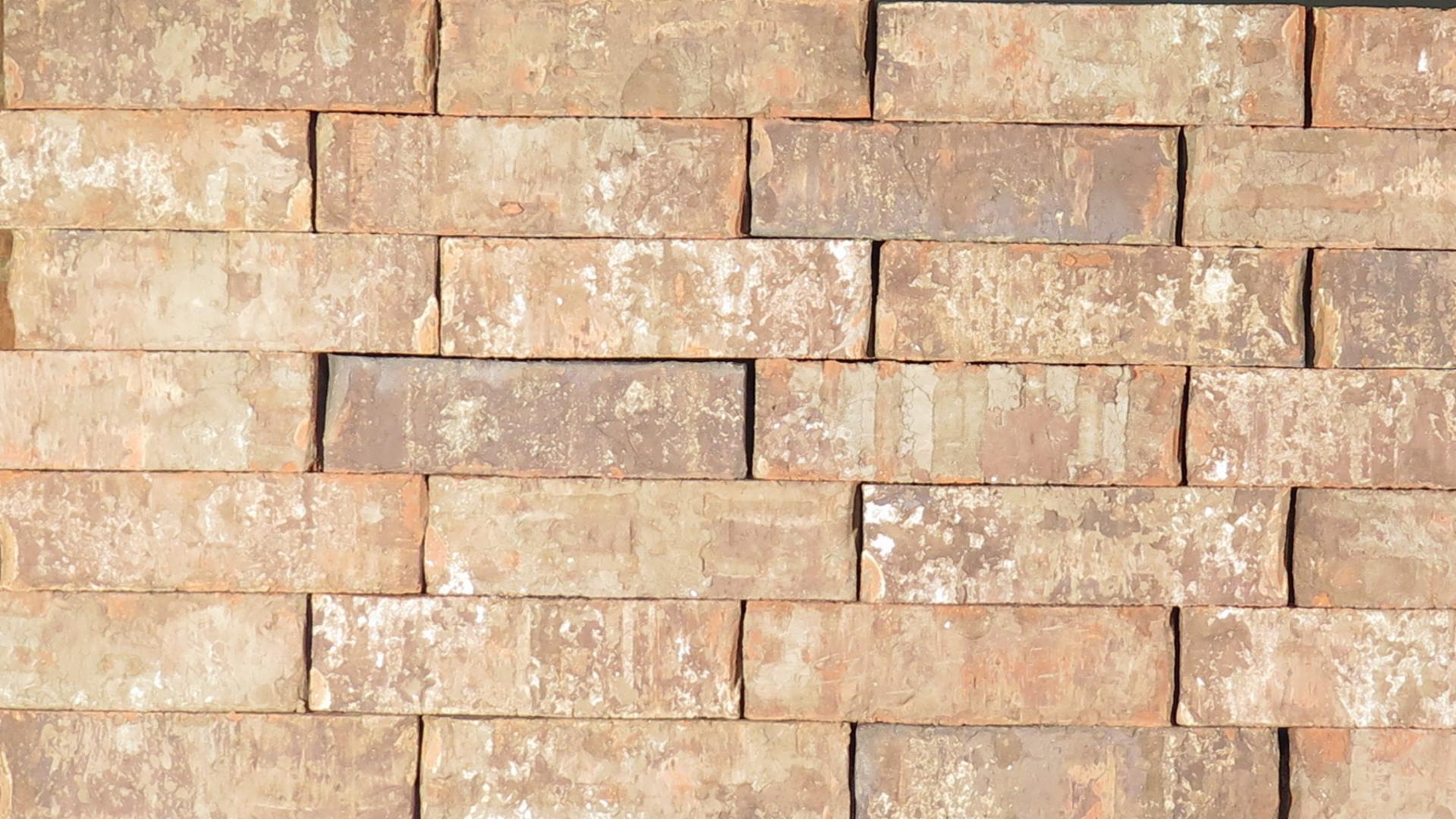 Special Blend - King - Heritage - lot T920A