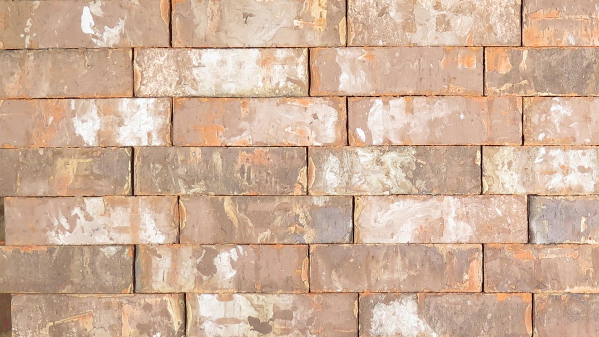 Special Blend - King - Heritage - lot T925A