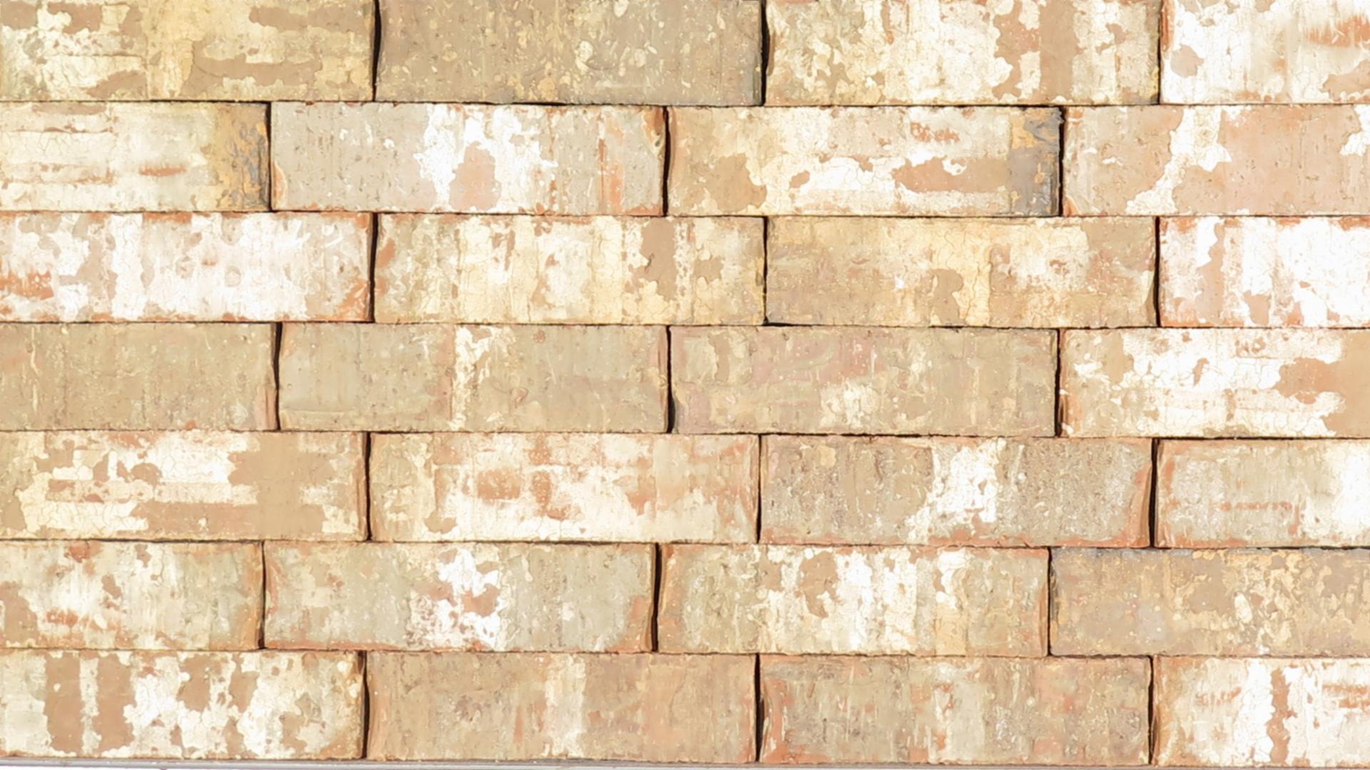 Special Blend - King - Heritage - lot T919A
