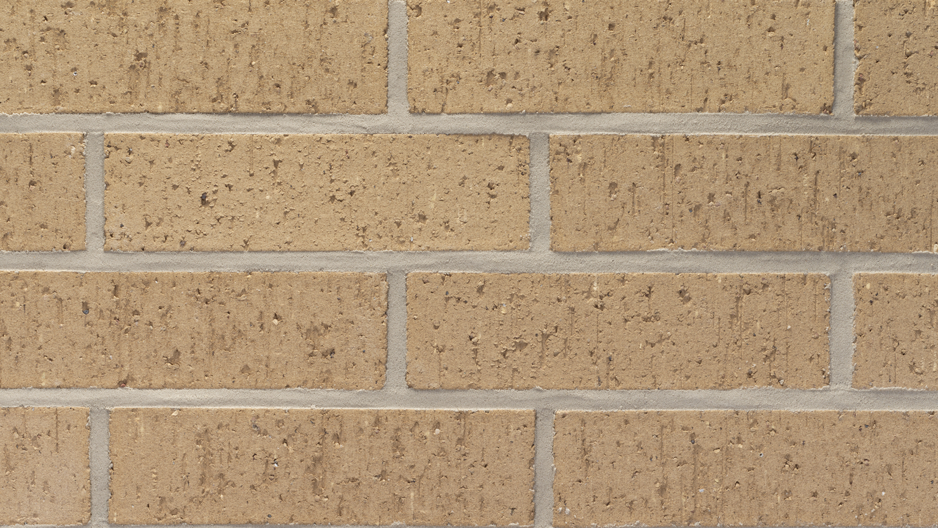 ELP188 - Castle Gray - King - Velour