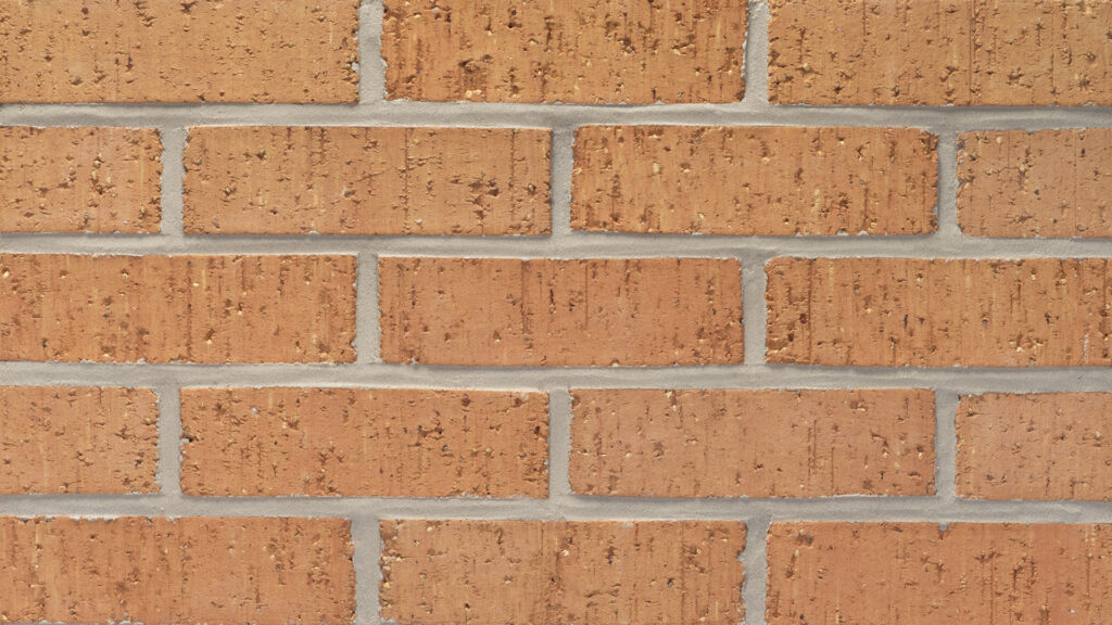 ELP256 - Sage Brush - Modular - Velour