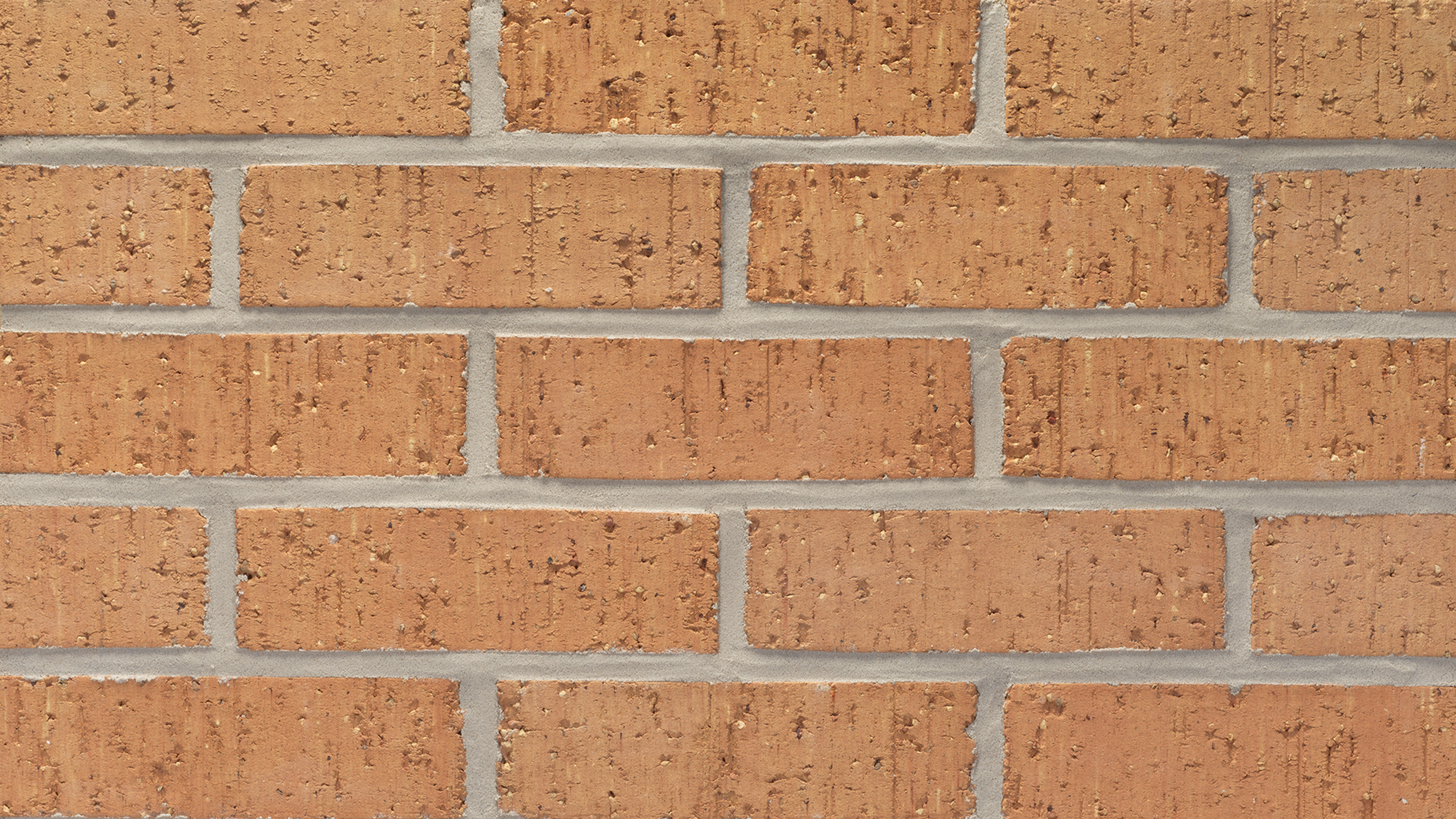 ELP256 - Sage Brush - Modular - Velour