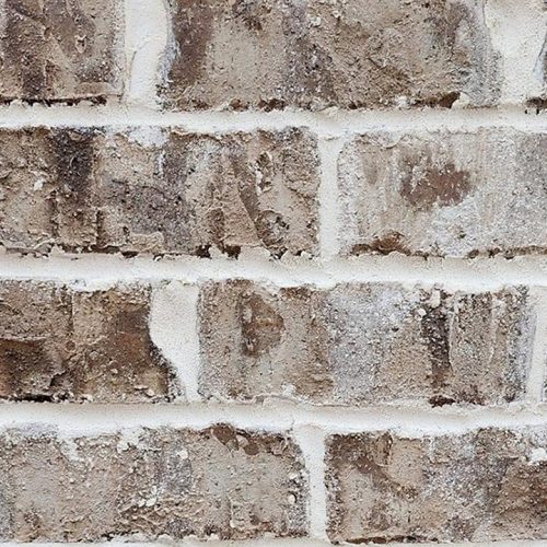 Oyster Cove - US Brick