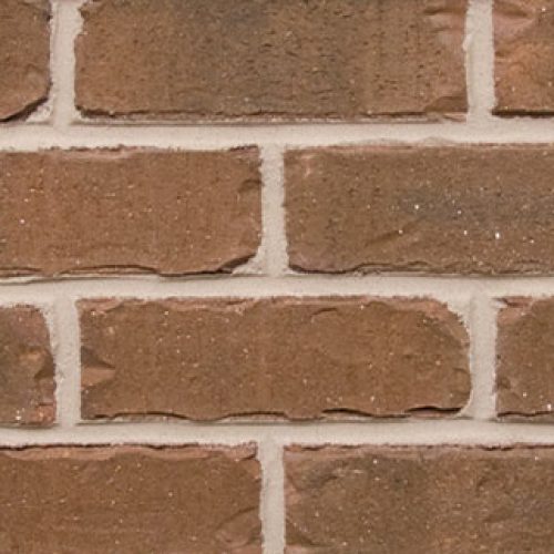 2. Buckskin - Queen - Tumbled