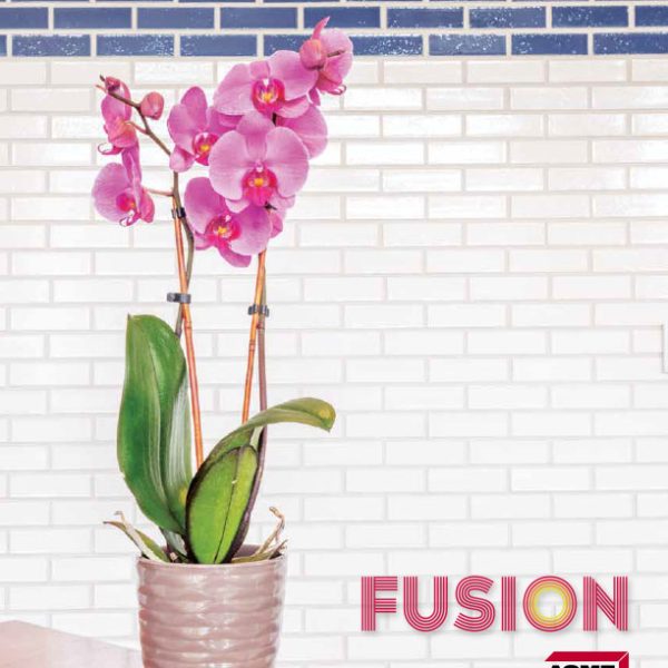Fusion Thin Brick Flyer