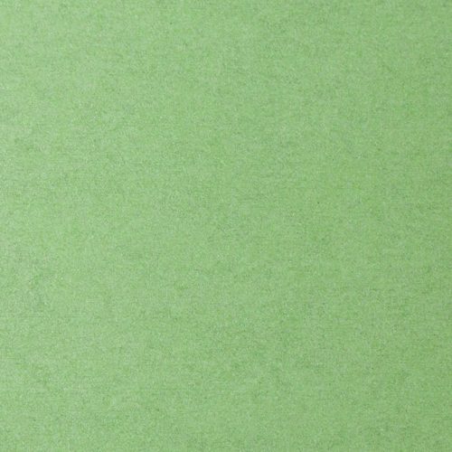 20230926_KOL23CO01110-Moss