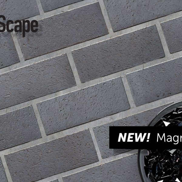 20231114_Magnetite-copy