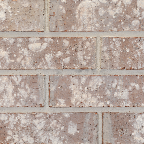 20241202_OEP621_SpenceCreek_KSZ_903690_web