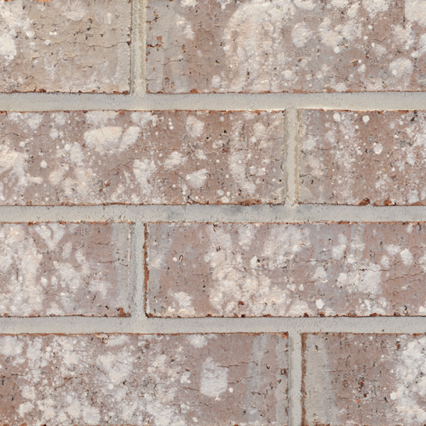 20241202_OEP621_SpenceCreek_KSZ_903690_web