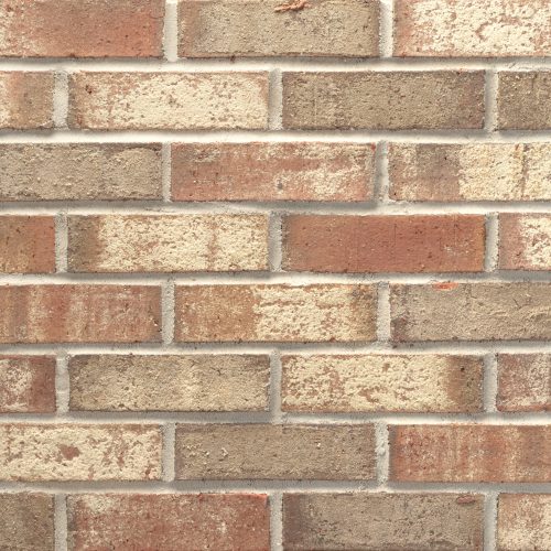 20250922_MGP325_OleSouth_MOD_782181