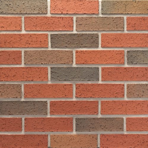 20251011_TUP004_WindsorPark_MOD_103181