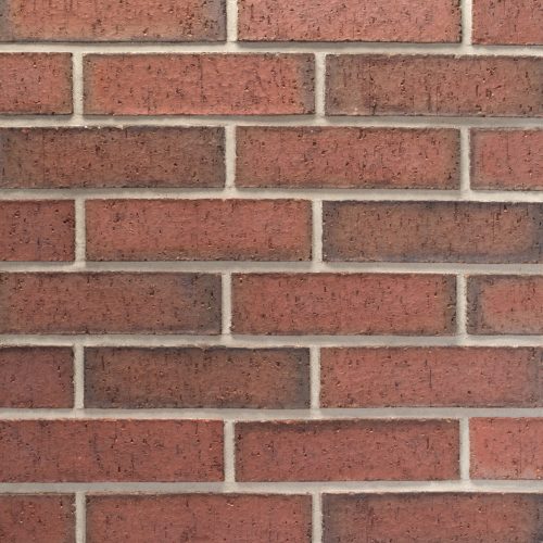 20251011_TUP035_SummerVinyard_KSZ_770600