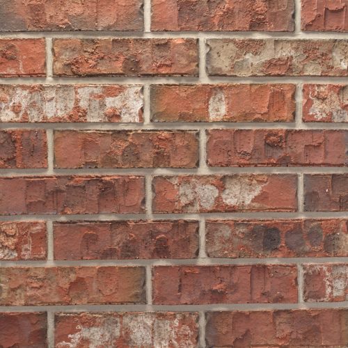 20251011_TUP045_GunnisonRiverHT_KSZ_850838