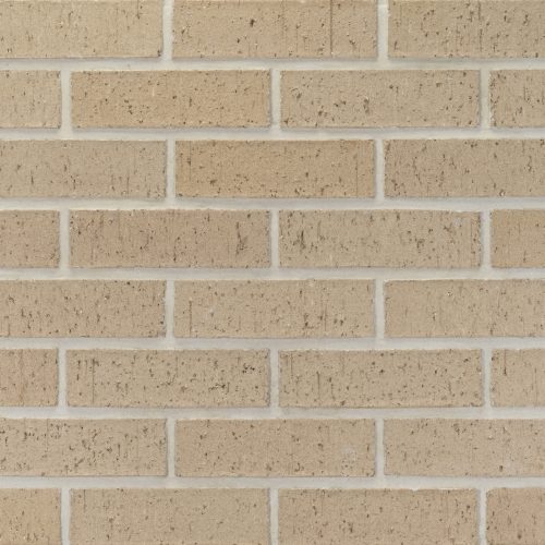 20251023_PEP030_DoveGray_MOD_105128