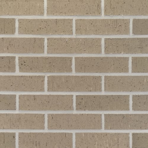 20251023_PEP160_SteeleGray_MOD_106391