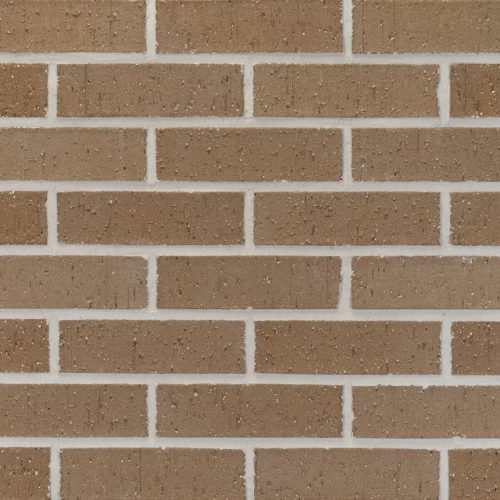 20251023_PEP600_OxfordBrown_107393