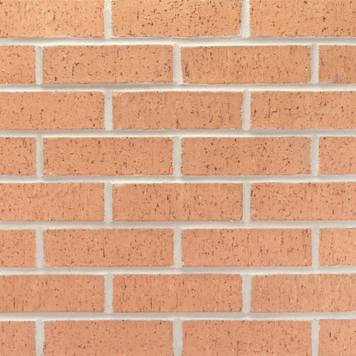 20260122_DTP100_BurntPumpkin_MOD_125786