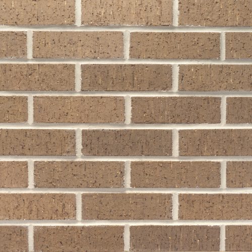 20260122_DTP102_MushroomBrown_MOD_12602