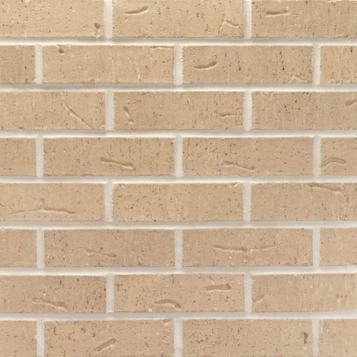 20260122_DTP114_ParkAvenue_MOD_126981