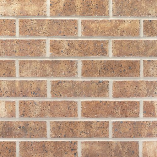 20260122_DTP120_MarkIV_MOD_127175