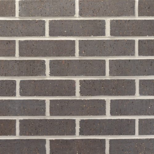 20260122_DTP153_Ebony_MOD_128389