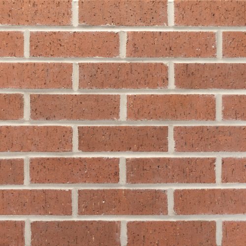 20260122_DTP155_Village_MOD_128469