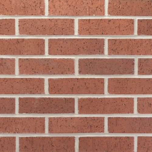 20260122_DTP156_Cranberry_MOD_763315