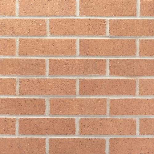 20260122_DTP244_Academy_MOD_129015