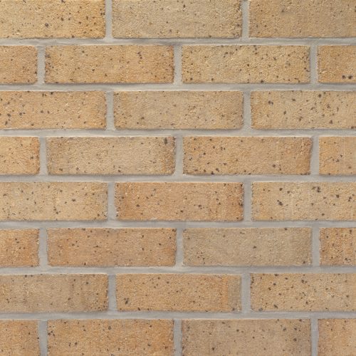 20260203_ELP164_ElRicardo_MOD_111456