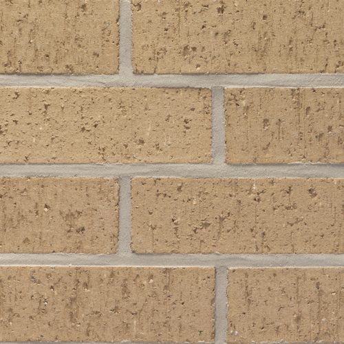 ELP188 - Castle Gray - King - Velour