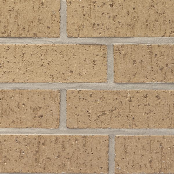 ELP188 - Castle Gray - King - Velour