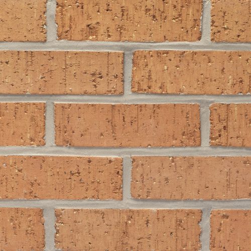 ELP256 - Sage Brush - Modular - Velour