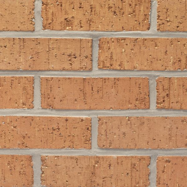 ELP256 - Sage Brush - Modular - Velour