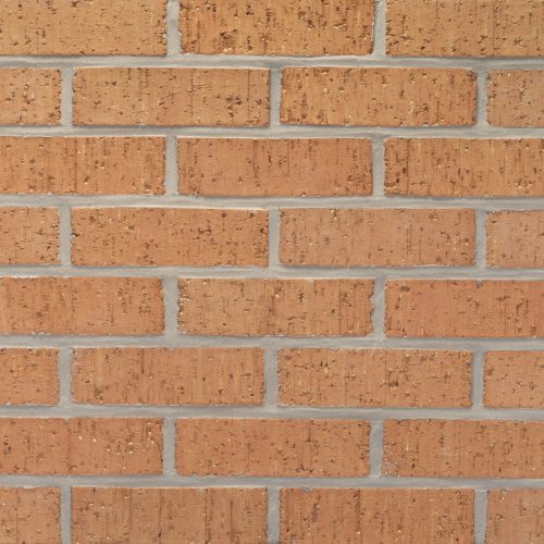 20260203_ELP256_SageBrush_MOD_111974