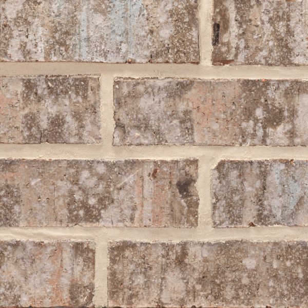 20260212_BTP585_WinterHaven_KSZ_911533-49