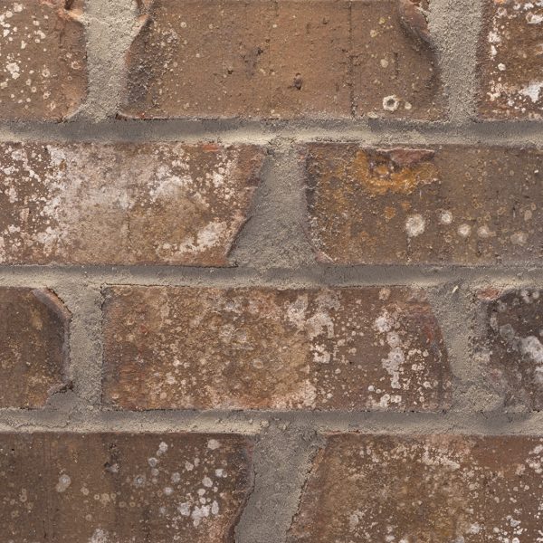 MGP606 - Lockerby