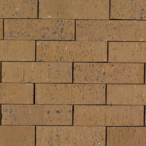 Flashed Golden Sunset