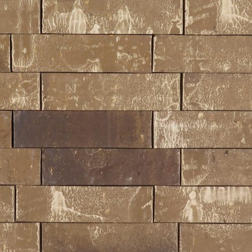 Mocha Brown Antique - King - Heritage - lot ENP25105RED