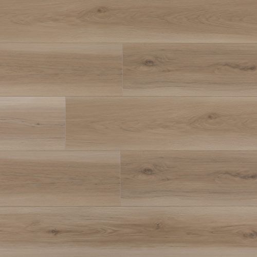 5-CELESTIAL 321- 5-CELESTIAL 321-