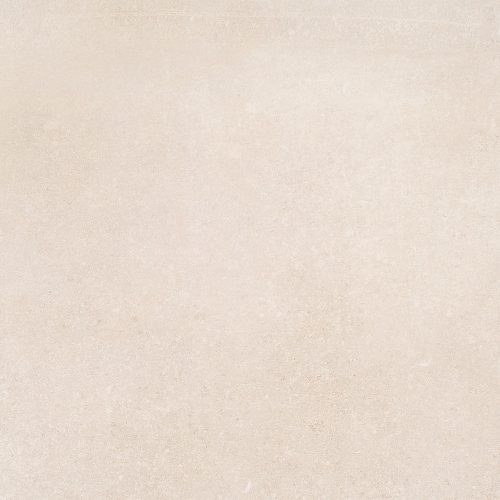 79068_et_belgique_sea_shell_12x24_nat_bold_01