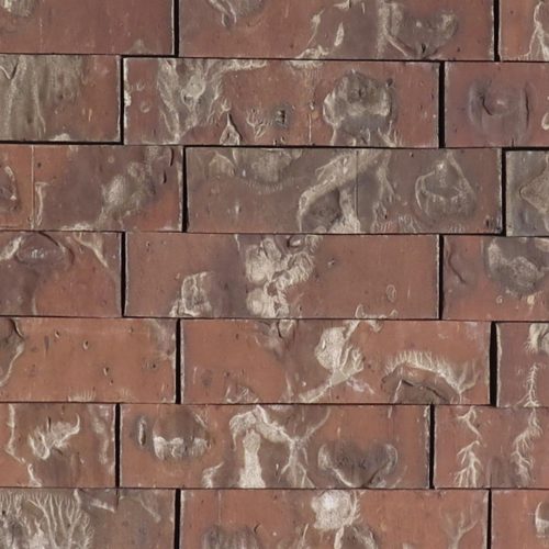 Test Brick - King - Heritage - lot ENP25123