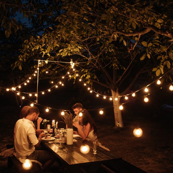 Cropped shot of four handsome friends having dinner in the backyard