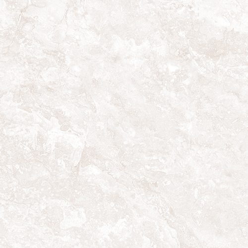 C1350954
