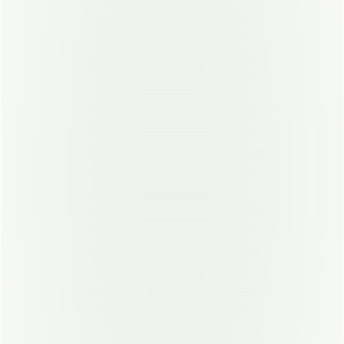 Carrollton White 4x12-Matte