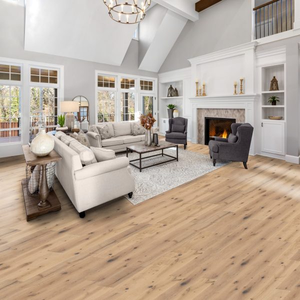 Beautiful living room in new traditional style luxury home. Features vaulted ceilings, fireplace with roaring fire, and elegant furnishings.