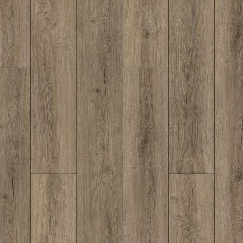 Toasted Coconut Layout 2