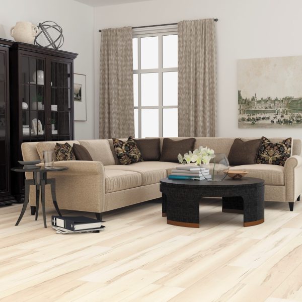 USA8541 Renowned room scene