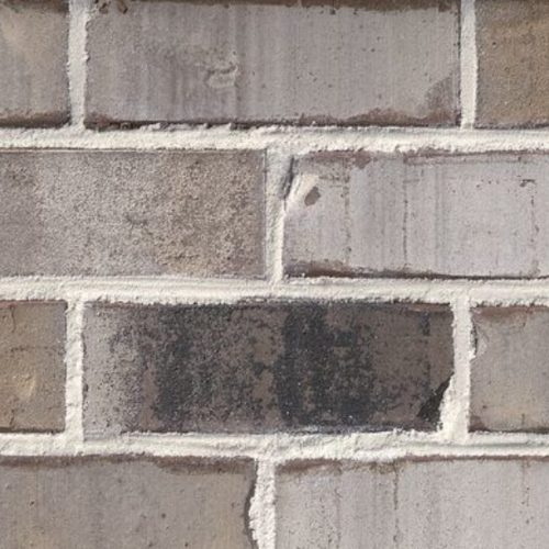 Classic Mocha Select - General Shale