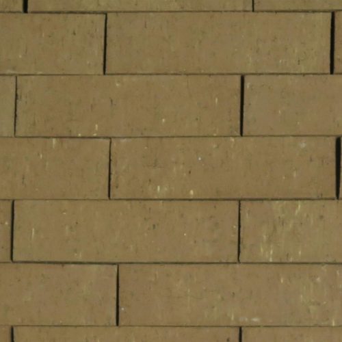 Cactus Flower - King - Blade Cut - 5,440 (qty)